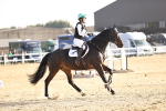 SBM_003652