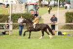 SBM_71558