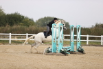 SBM_000196