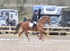 BPP_8919