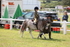 JPP_0984