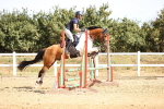 SBM_000275