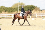 SBM_018195