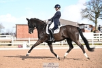 Class 7, FEI Intermediate I Silver portfolio