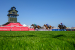 130826-Race 1-Not My Type-5232