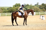 SBM_008204