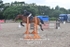 BPP_0311