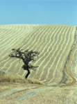 Landscapes of Andalucia portfolio