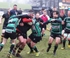 DSC07310_edited-1