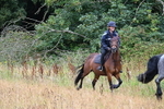 WJ6_1824
