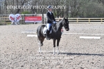 BPP_9879
