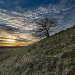 Maiden Castle Early Morning in March, Dorset