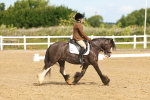 SBM_007679