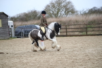 SBM_007970