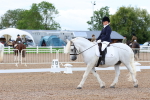 SBM_00280