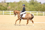 SBM_008456