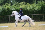 WJ6_3347