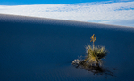 Deserts portfolio