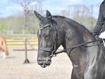 BPP_9951