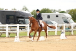 SBM_013264