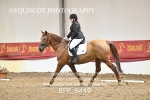 BPP_8449