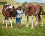 jane horses-17
