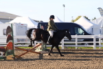 SBM_07907