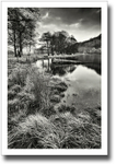 Dipped Beam ♦ LOCH VOIL