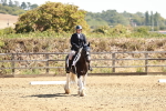 SBM_000803