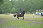 NGP_7982