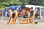 BPP_1433