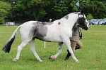 SIAL2892