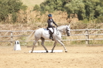 SBM_002481