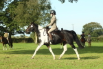 SBM_59911