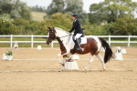 SBM_015687