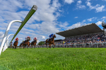 300826-Race 4-Financer-6636