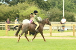 SBM_69951
