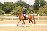 SBM_001411