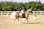 SBM_010278