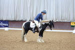 SBM_000233