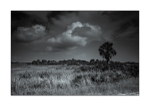 Brevard County - Merritt Island NWR IV