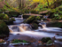 Padley Gorge