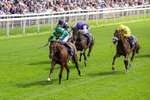 190826-Race 2-Haffner-0212