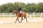 SBM_00962