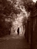 Woman in Lane, Holland Park (sepia)