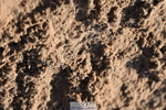231015A-101800-07192