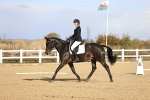SBM_009115