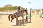 SBM_001037