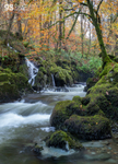 Autumn light, Afon Clywedog