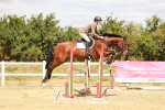 SBM_006262